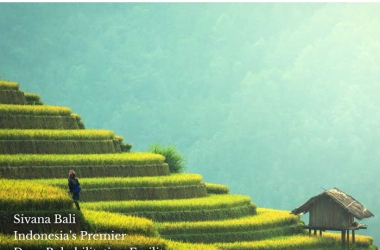 Bali Web Design