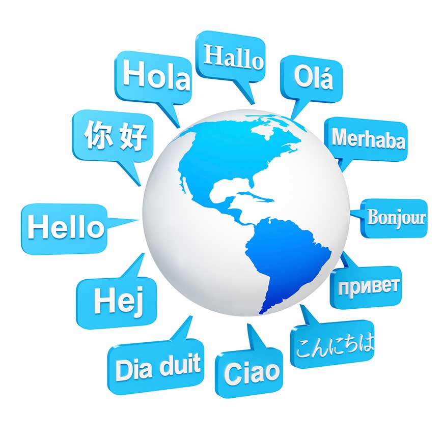 Web Page Language Translation