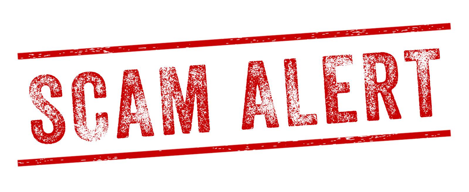 Scam Alert: Fake Slinky Invoices and Website Maintenance Emails